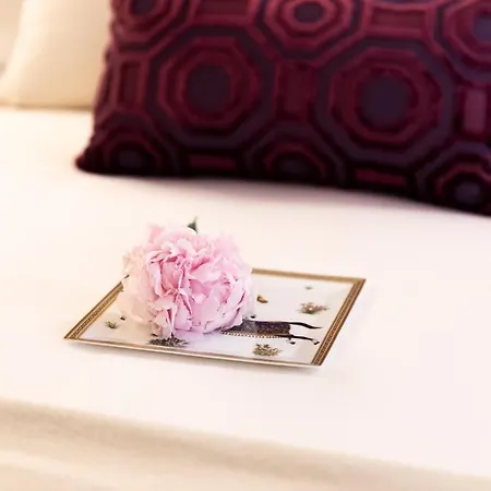 Poesis Experience 4*